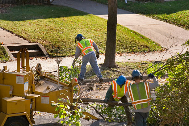 Mulching Services in Union Beach, NJ